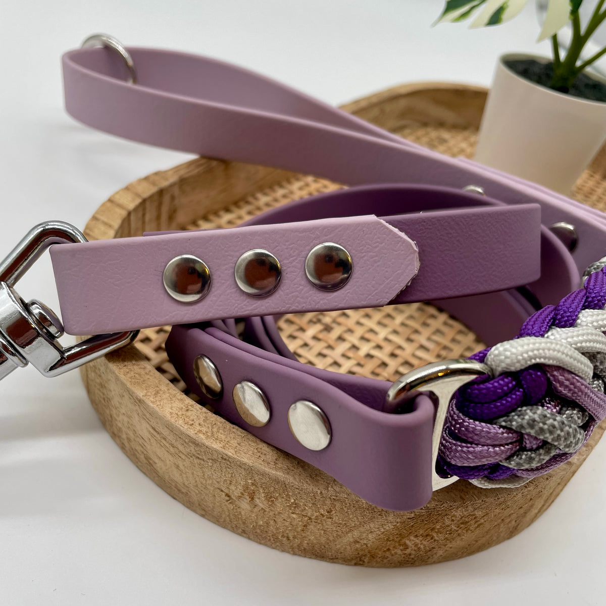 Laisse en biothane bicolore pour chien "Prêt à partir" - Valensole