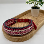 Collier paracorde pour chien tressage "Prêt à partir" - Venise