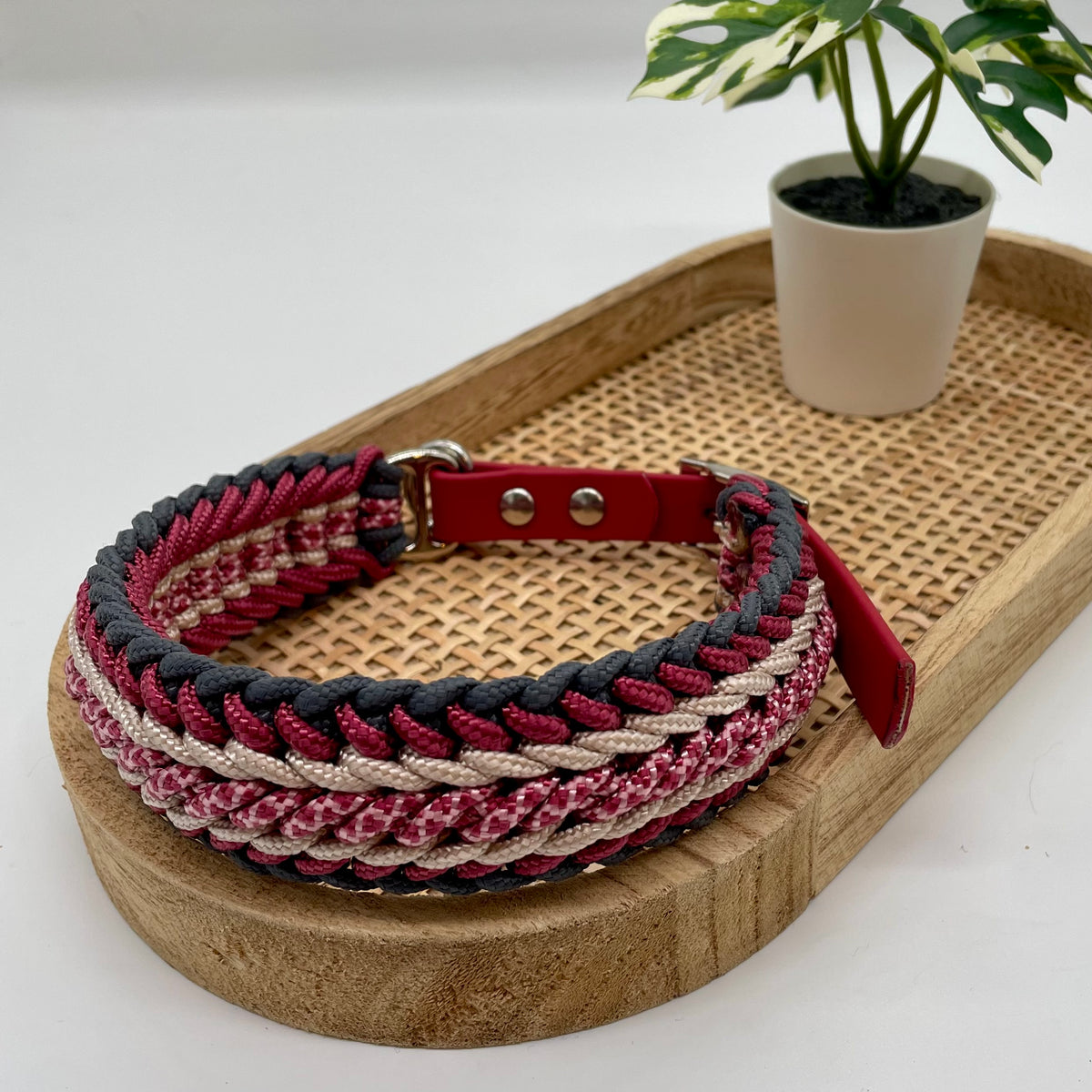 Collier paracorde pour chien tressage "Prêt à partir" - Venise