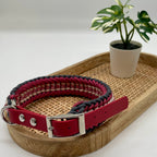 Collier paracorde pour chien tressage "Prêt à partir" - Venise