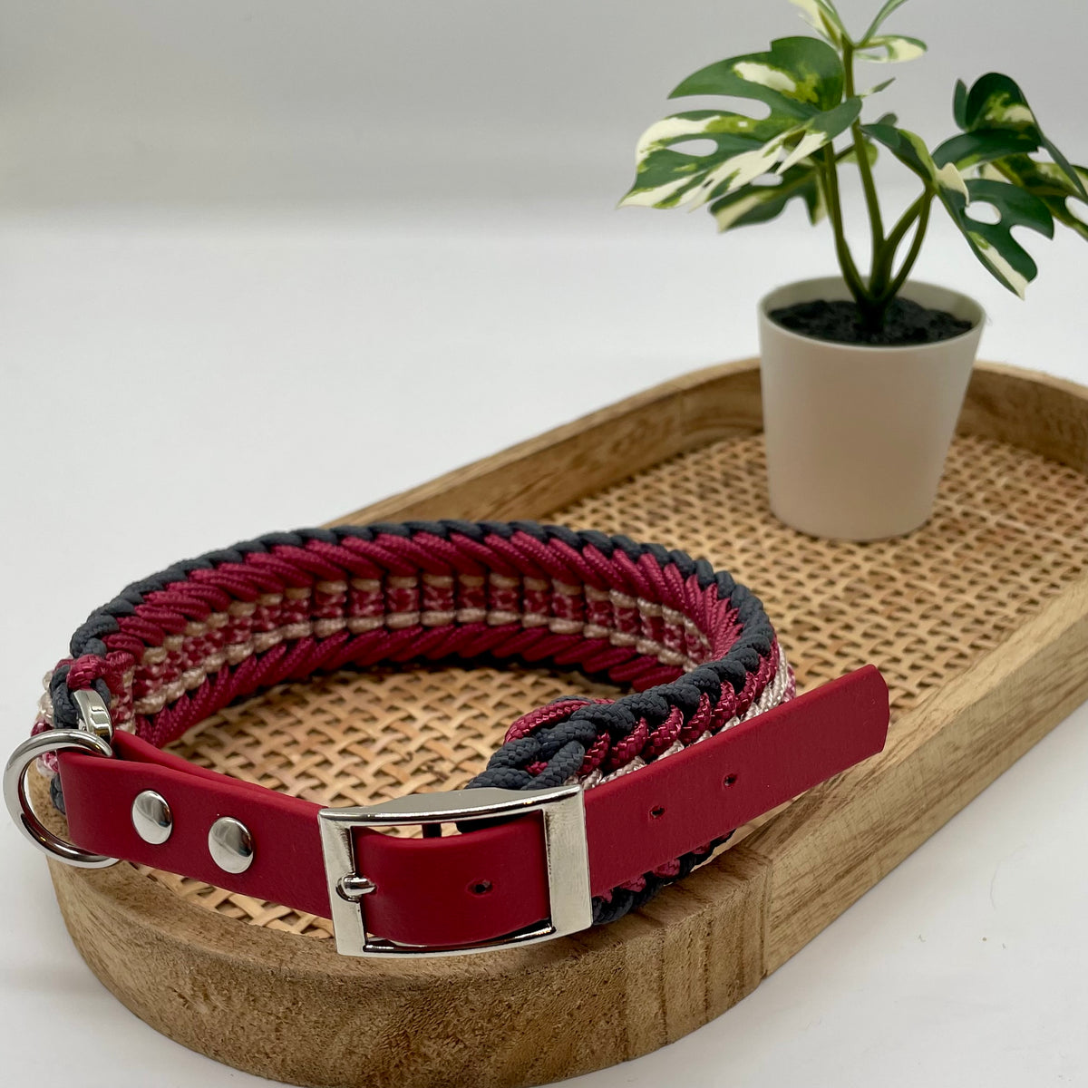 Collier paracorde pour chien tressage "Prêt à partir" - Venise