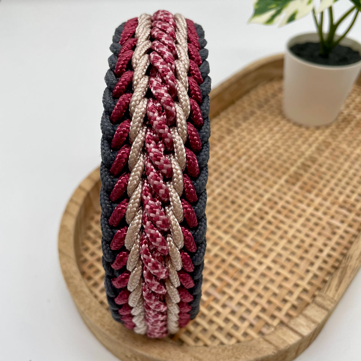 Collier paracorde pour chien tressage "Prêt à partir" - Venise
