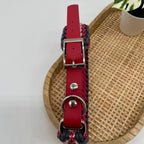 Collier paracorde pour chien tressage "Prêt à partir" - Venise