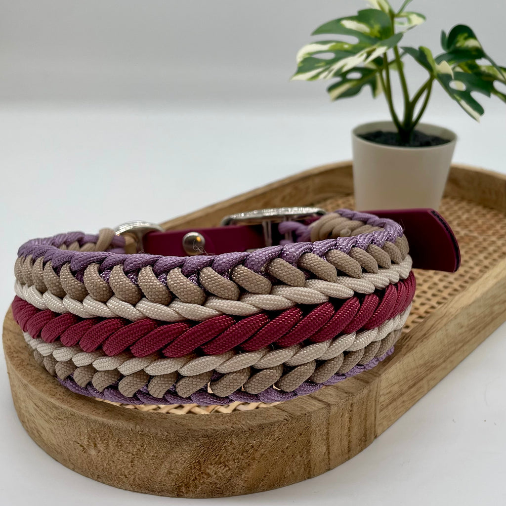 Collier paracorde pour chien tressage "Prêt à partir" - Vérone