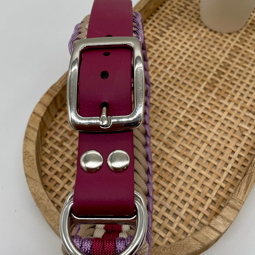 Collier paracorde pour chien tressage "Prêt à partir" - Vérone