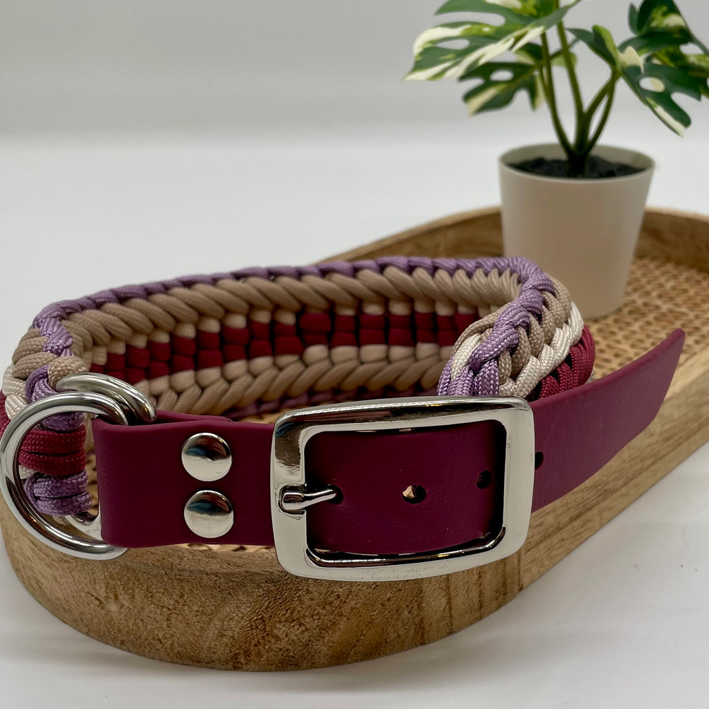 Collier paracorde pour chien tressage "Prêt à partir" - Vérone