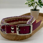 Collier paracorde pour chien tressage "Prêt à partir" - Vérone