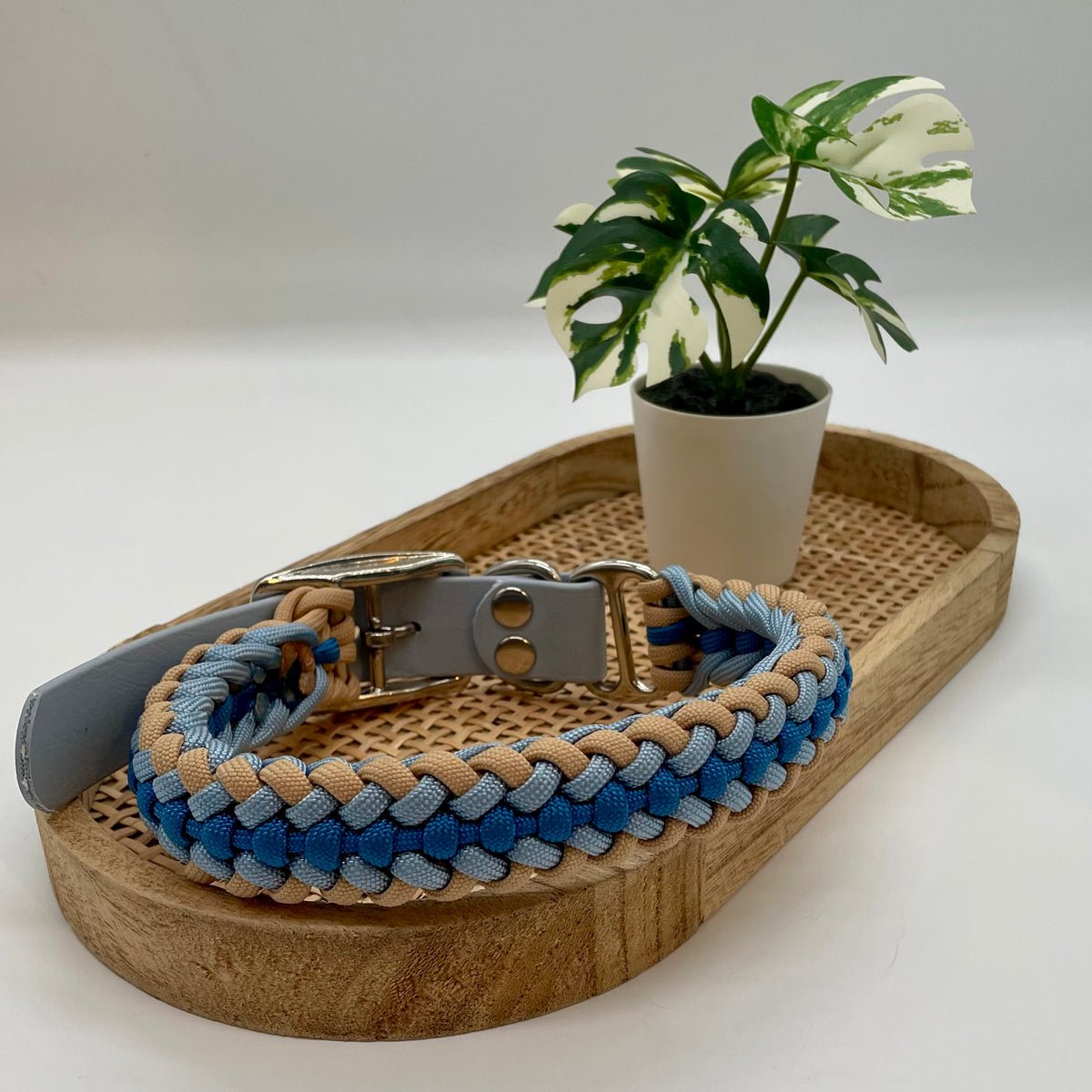 Collier paracorde pour chien tressage "Prêt à partir" - Evian