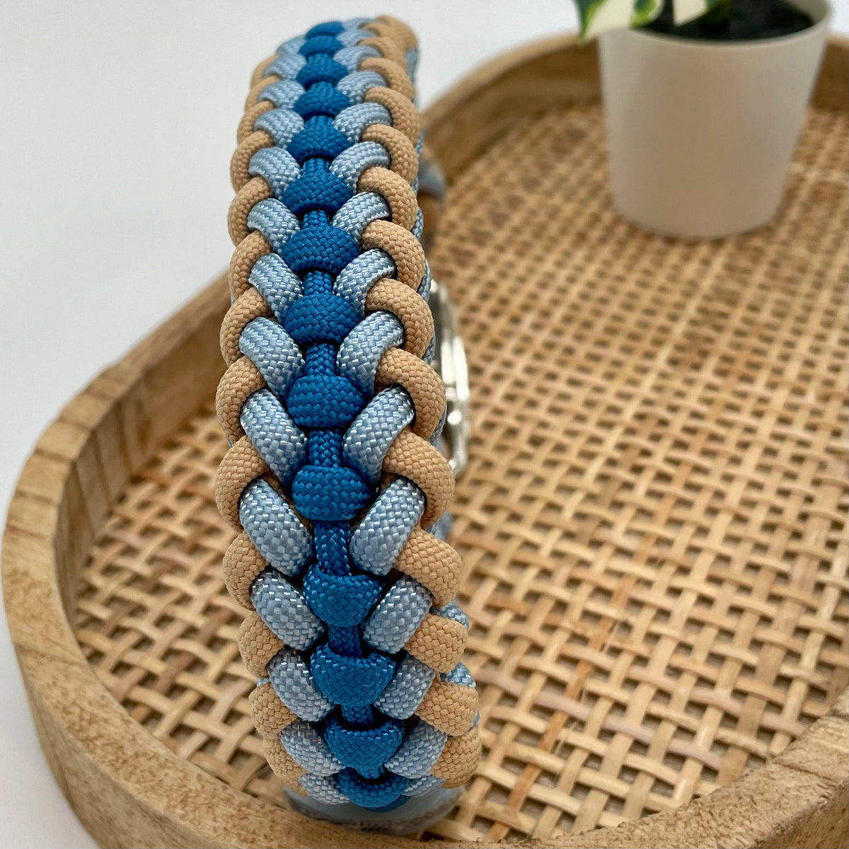 Collier paracorde pour chien tressage "Prêt à partir" - Evian