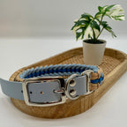 Collier paracorde pour chien tressage "Prêt à partir" - Evian