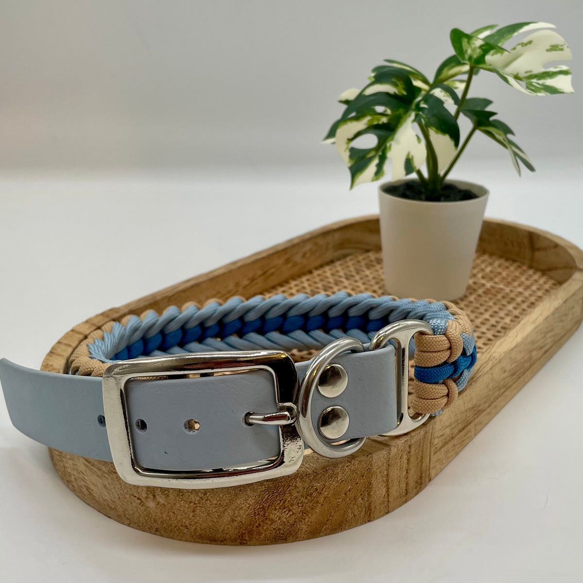 Collier paracorde pour chien tressage "Prêt à partir" - Evian