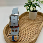 Collier paracorde pour chien tressage "Prêt à partir" - Evian