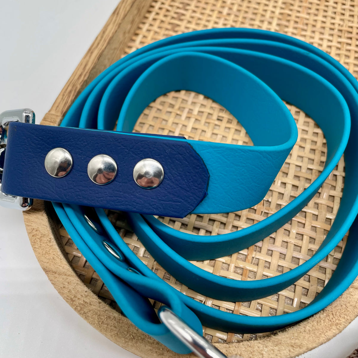 Laisse en biothane bicolore pour chien "Prêt à partir" - Bali