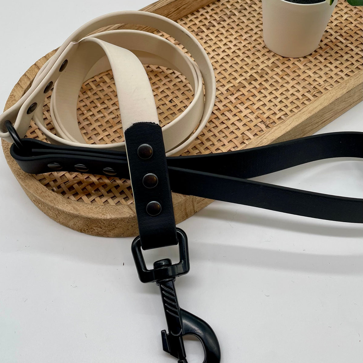 Laisse en biothane bicolore pour chien "Prêt à partir" - Tokyo