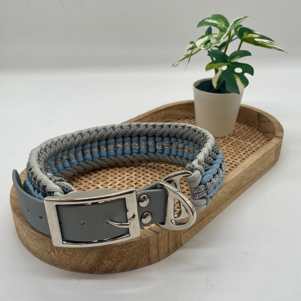 Collier paracorde pour chien tressage "Pays Bas" - Edition Limitée