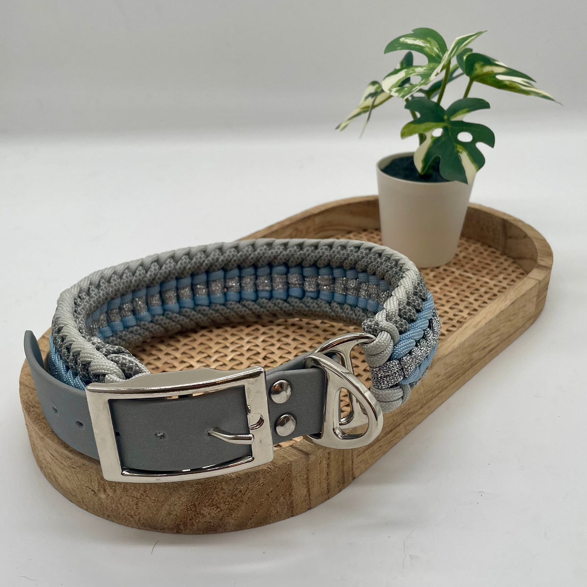 Collier paracorde pour chien tressage "Pays Bas" - Edition Limitée