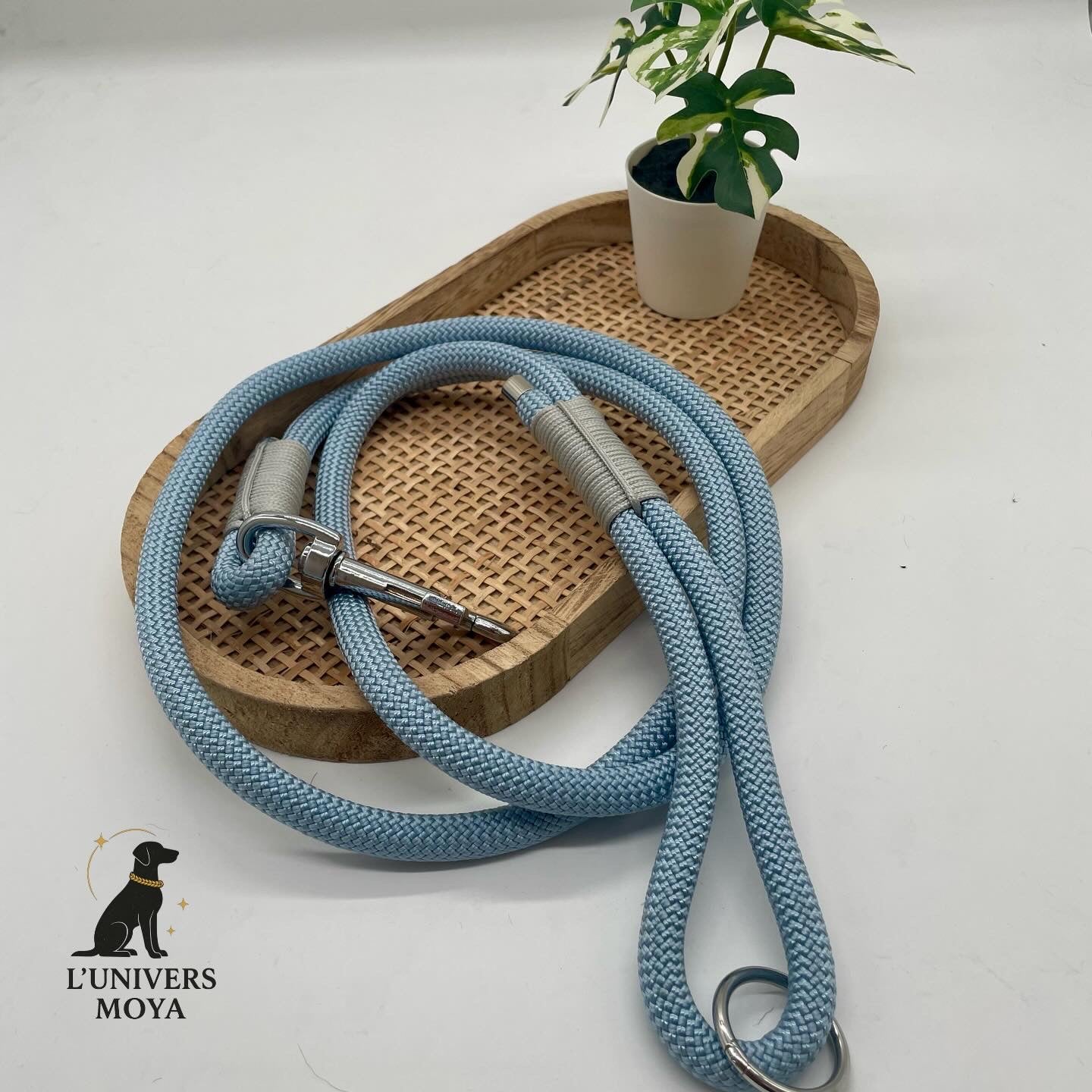 Laisses en Corde