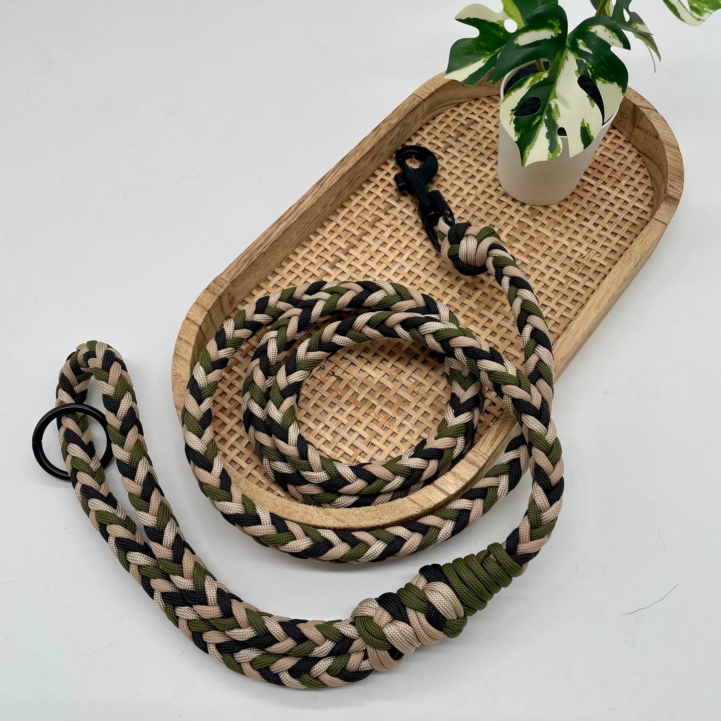 Laisse Paracord