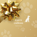 Carte Cadeau