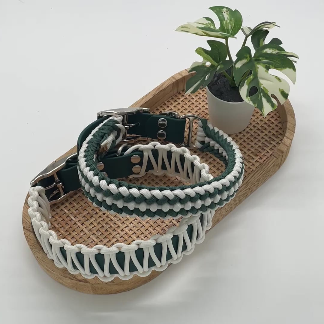 Collier personnalisé en Paracorde pour chien