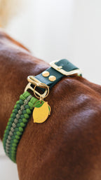 Collier paracorde pour chien tressage "Irlande"
