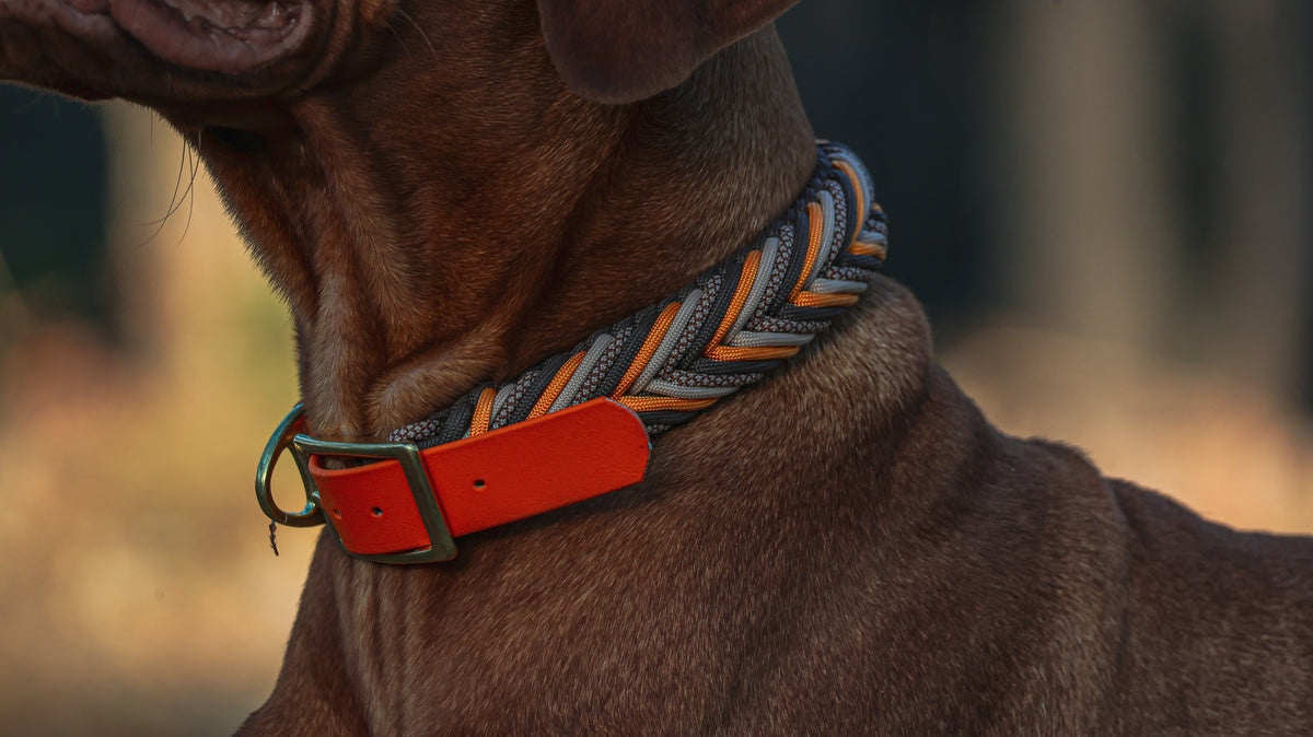 Collier paracorde pour chien tressage "Suisse"